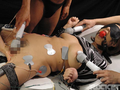 サンプル画像 1