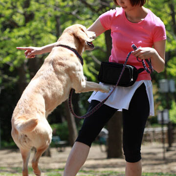 サンプル画像 1