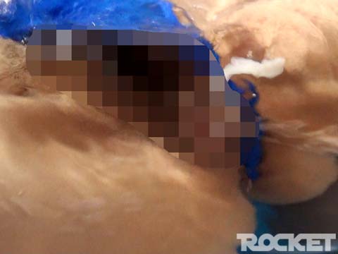 サンプル画像 10