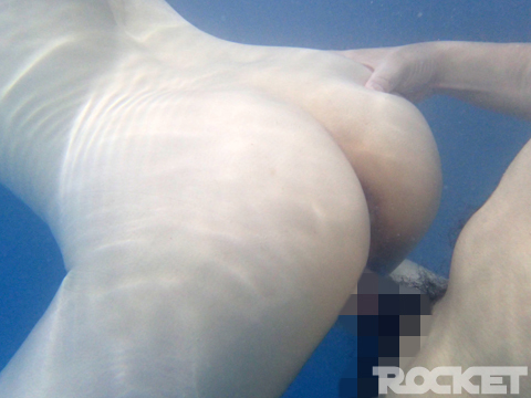 サンプル画像 5